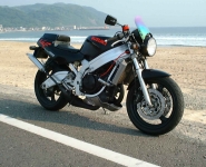 wolf02mx
