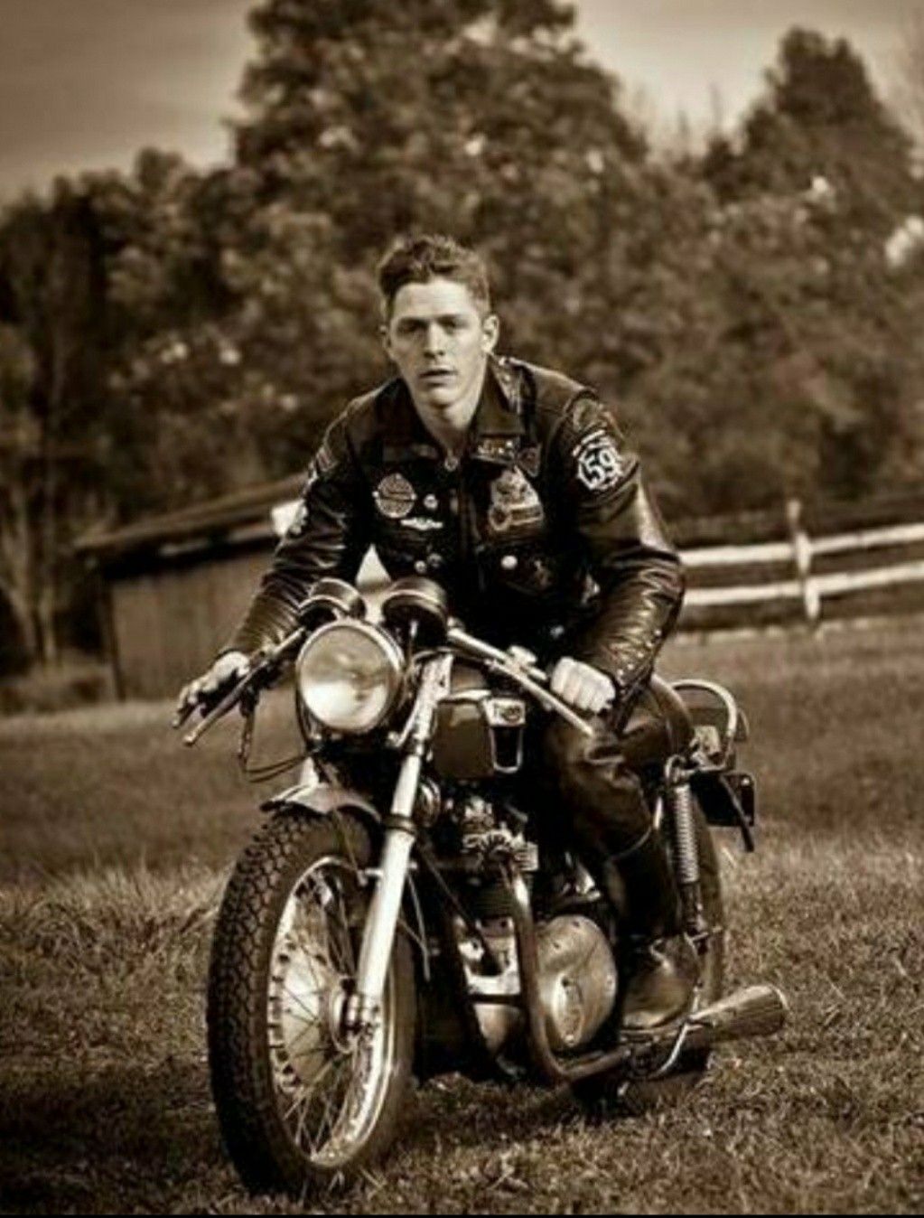 triumph59
